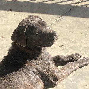 Meet your Posher, Tia